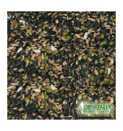 Canarini Germinabili
