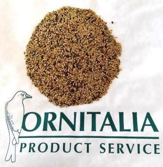 Canarini Extra 5 Semi con Perilla