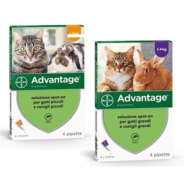 BAYER - Advantage Spot On