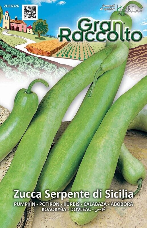 HORTUS - Gran Raccolto Zucca Serpente Sicilia