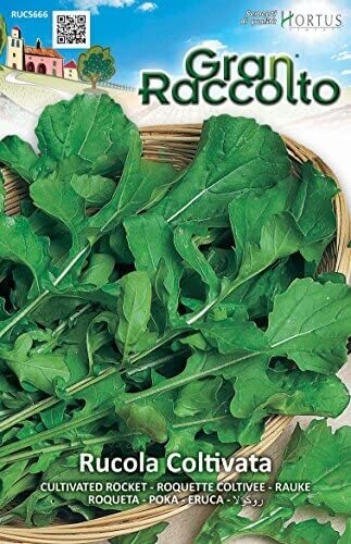 HORTUS Gran Raccolto Rucola Coltivata