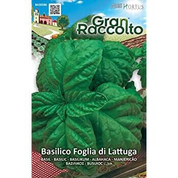 HORTUS Gran Raccolto Basilico Foglia di lattuga