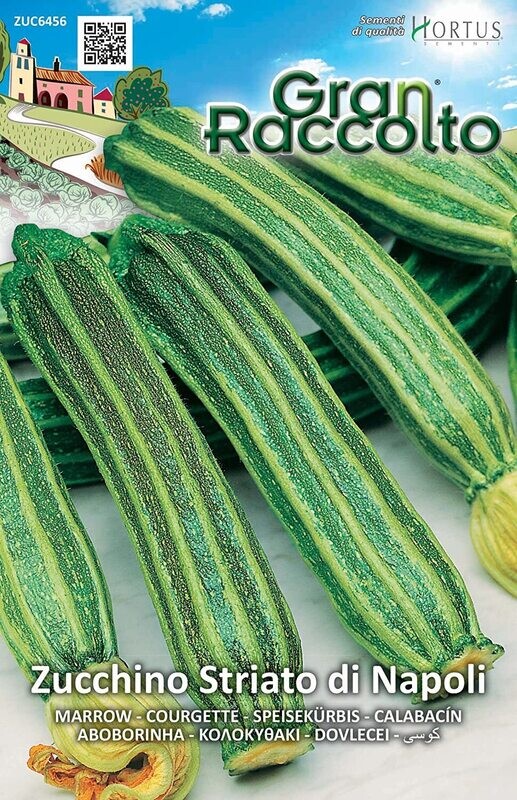 HORTUS Gran Raccolto Zucchino Striato di Napoli