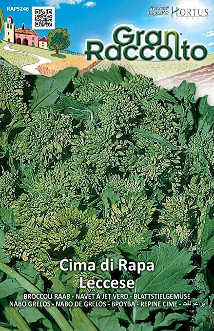 HORTUS Gran Raccolto Cima di Rapa Leccese