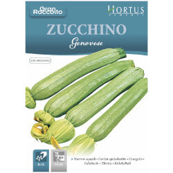 HORTUS - Gran Raccolto Zucchino Genovese