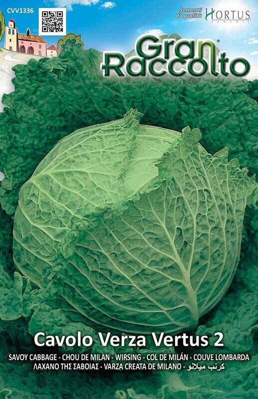HORTUS Gran Raccolto Cavolo Verza Vertus 2
