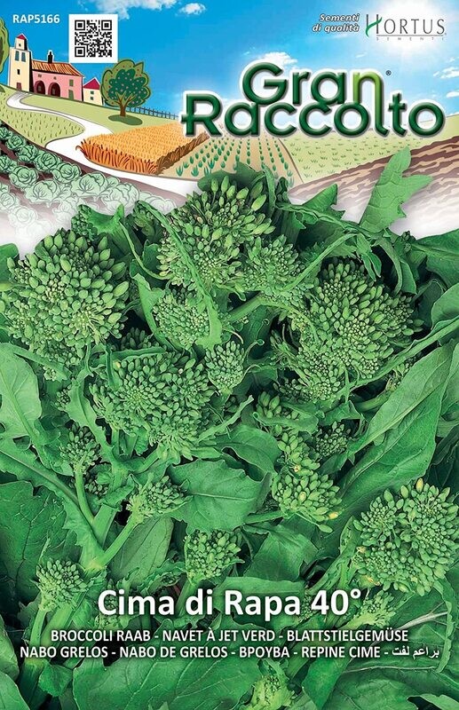HORTUS Gran Raccolto Cima di Rapa 40° Testa Grossa