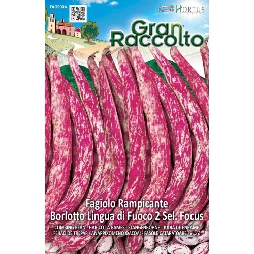 HORTUS Gran Raccolto Fagiolo Borlotto Lingua Di Fuoco