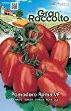 HORTUS Gran Raccolto Pomodoro Roma VF