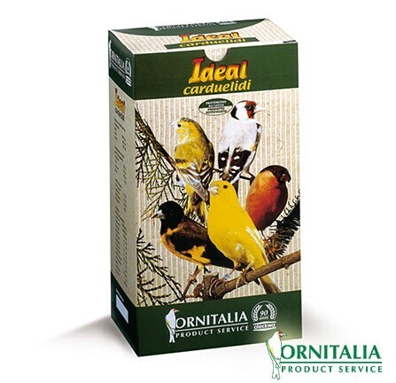 ORNITALIA - IDEAL CARDUELIDI