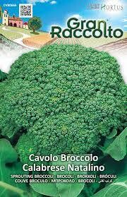 HORTUS Gran Raccolto Cavolo Broccolo Calabrese Natalino