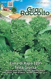 HORTUS Gran Raccolto Cima di Rapa 120° Testa Grossa