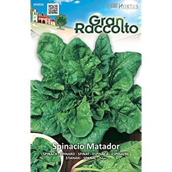 HORTUS - Gran Raccolto Spinacio Matador