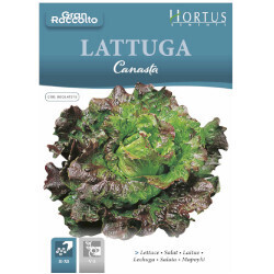 HORTUS Gran Raccolto Canasta