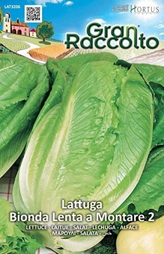HORTUS Gran Raccolto Lattuga Bionda Lenta a Montare2