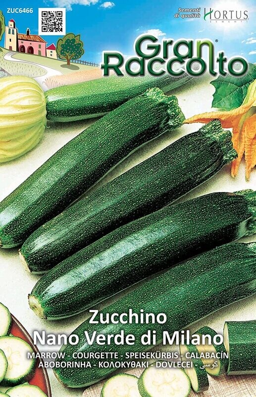 HORTUS Gran Raccolto Zucchino Nano Verde di Milano