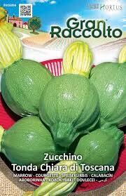 HORTUS Gran Raccolto Zucchino Tonda Chiara di Toscana