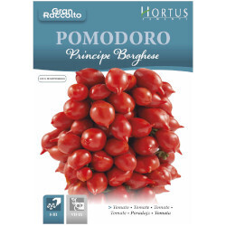 HORTUS Gran Raccolto Pomodoro Principe Borghese