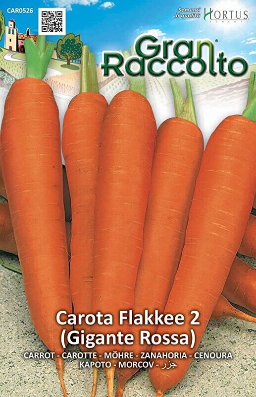 HORTUS Gran Raccolto Carota Flakkèe 2 (Gigante Rossa)