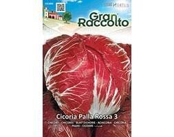 HORTUS Gran Raccolto Cicoria Palla Rossa 3