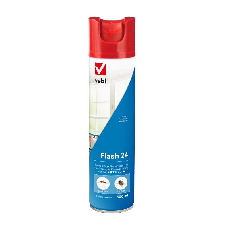 VEBI - FLASH 24