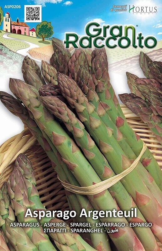 HORTUS - Gran Raccolto Asparago Argenteuil