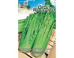 HORTUS Gran Raccolto Sedano Tall Utah 52-70