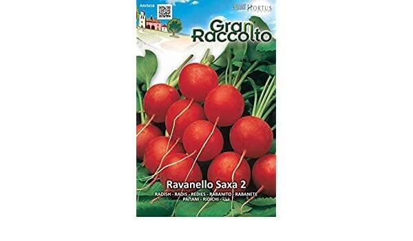 HORTUS Gran Raccolto Ravanello Saxa 2