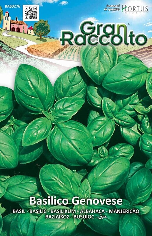 HORTUS Gran Raccolto Basilico Genovese