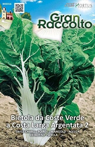 HORTUS Gran Raccolto Bietola da coste verde a costa larga argentata 2