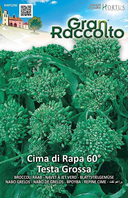 HORTUS Gran Raccolto Cima di Rapa 60° Testa Grossa