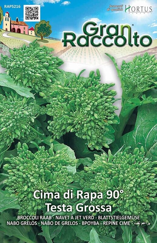 HORTUS Gran Raccolto Cima di Rapa 90° Testa Grossa