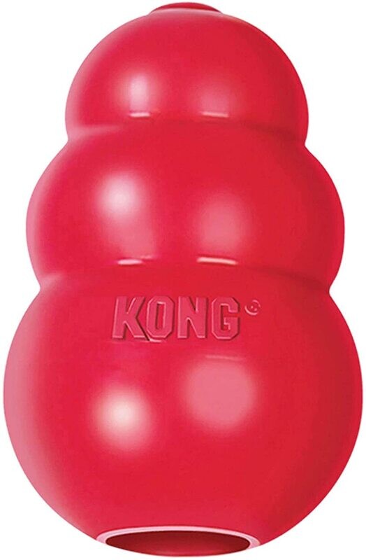 KONG - Classic Gioco Cani, Gomma Naturale Resistente