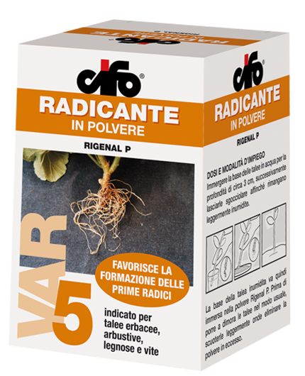 CIFO - RADICANTE IN POLVERE