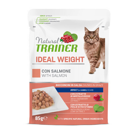 TRAINER - Natural Ideal Weight Bocconcini con Salmone
