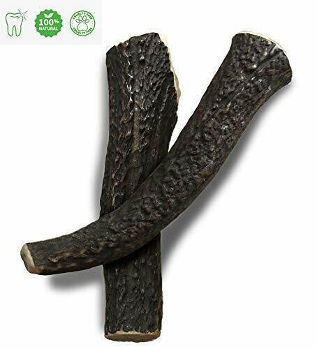 BARF NIKI NAT.BARF CORNA DI CERVO INT. XL 110-140 gr