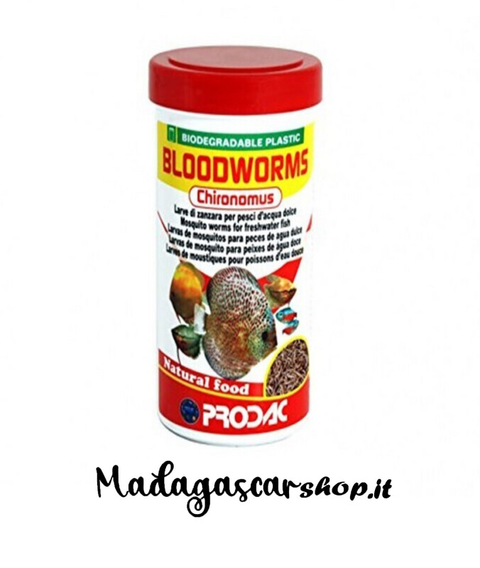 PRODAC BLOODWORMS 7G