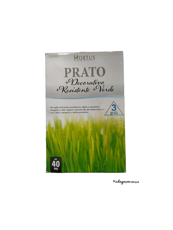 Seme Prato 3PIù +Decorativo+Resistente+Verde Hortus