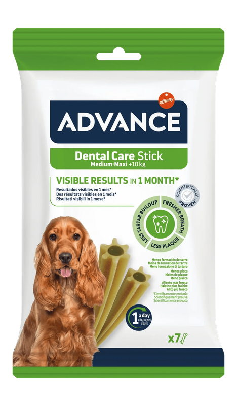 DENTAL CARE STICK MEDIUM/MAXI