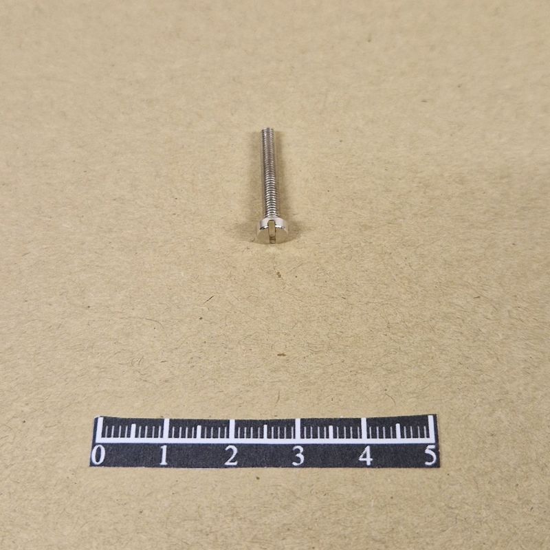 Vis 20mm Nickel - x 10
