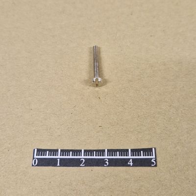 Vis 20mm Nickel - x 10