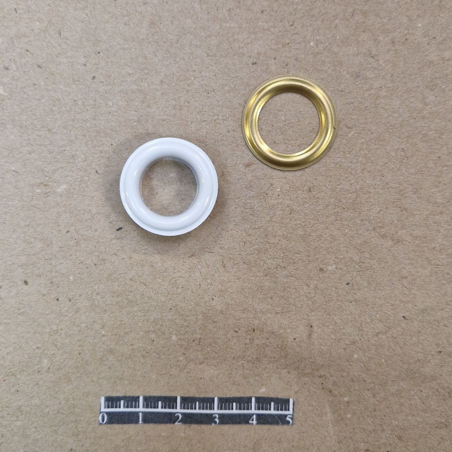 Ensemble œillet Ø15,5mm Laiton Verni Couleur - x 10, Couleur: Blanc