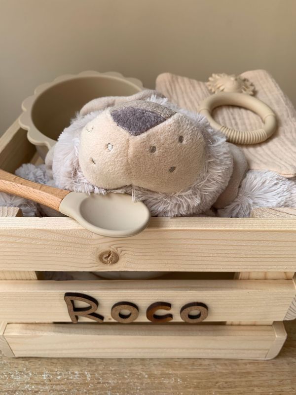 CESTA ROCO