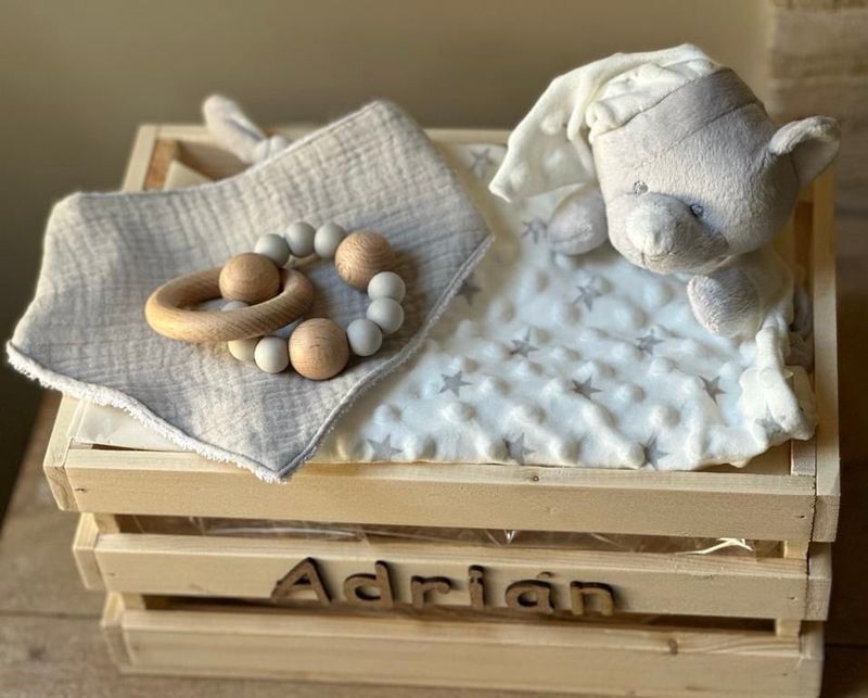 CESTA ADRIAN