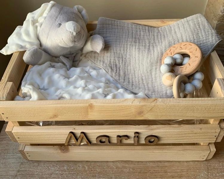 CESTA MARIO