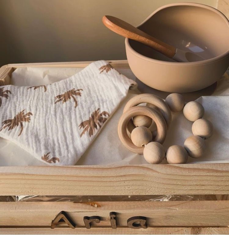 CESTA ARIA