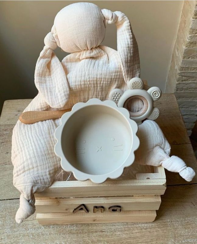 CESTA ANA