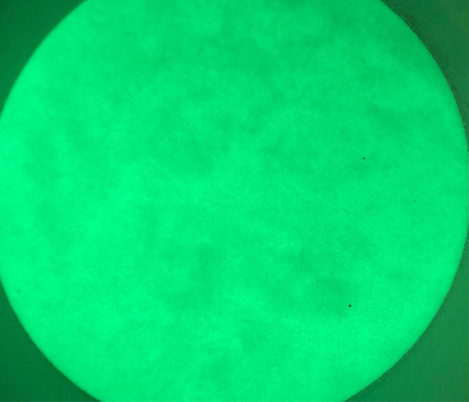 Green Nite Glow Powder