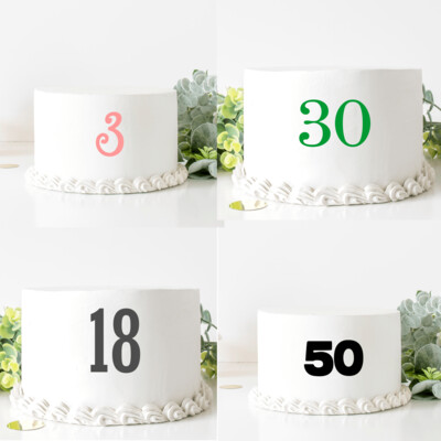 Number/ Age cake charm topper birthday acrylic