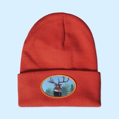 Nice Antlers